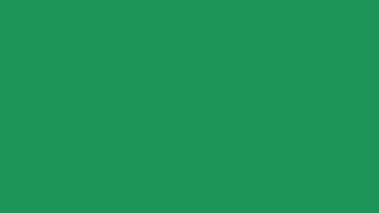 Farbton 265A