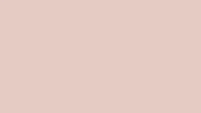 Farbton 445C