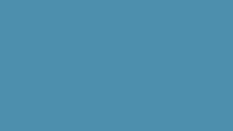 Farbton 545C