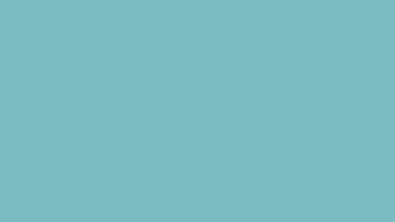 Farbton 545D