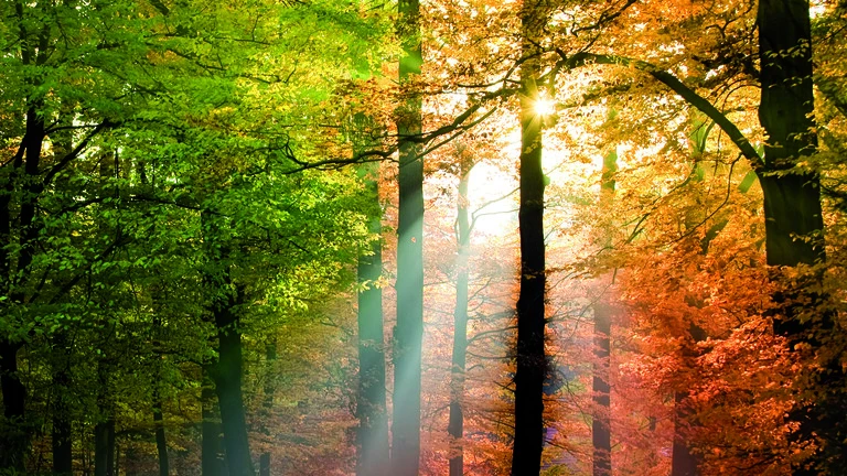Herbst Farbtöne