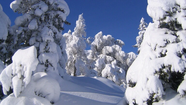Winter Farbtöne
