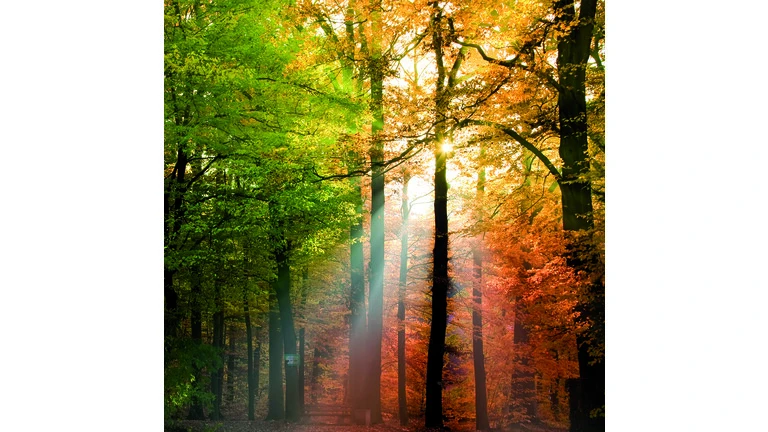 Herbst Farbtöne