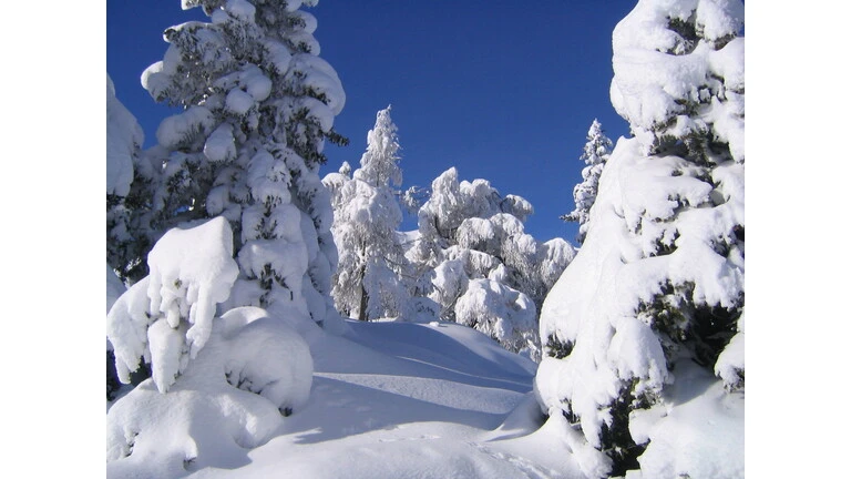 Winter Farbtöne